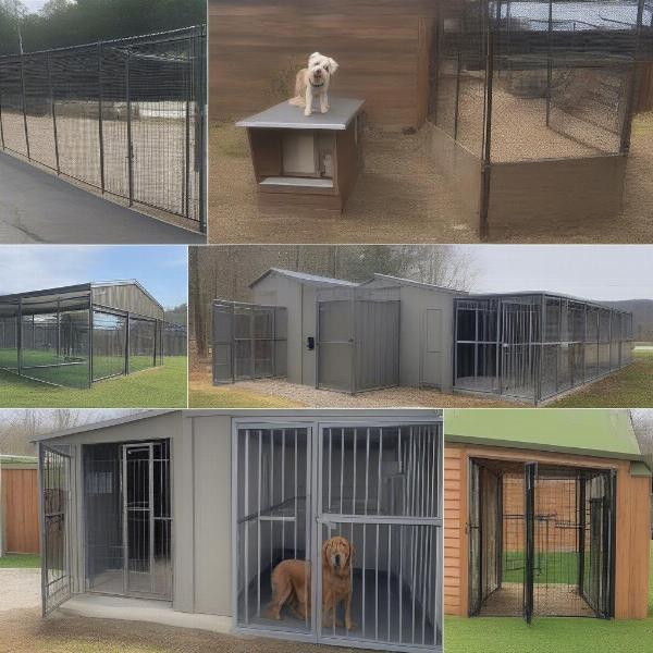 Different Types of Dog Kennels in Asheville