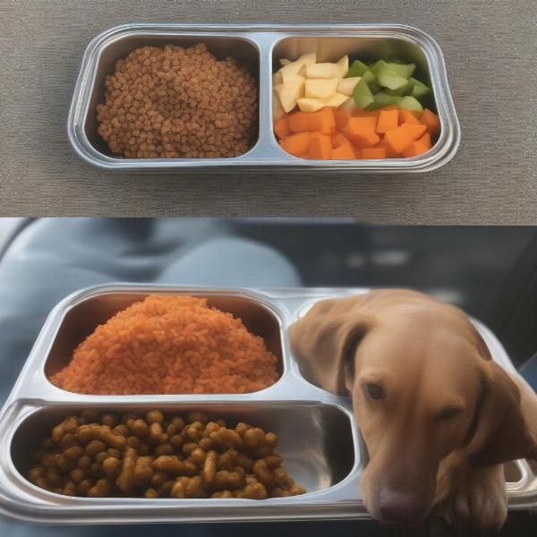 Balanced Dog Food Truck Meal