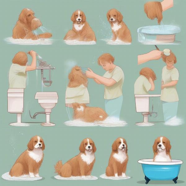 Steps to properly bathe a dog