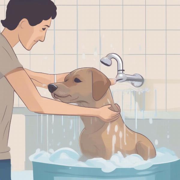 Bathing Your Dog Correctly