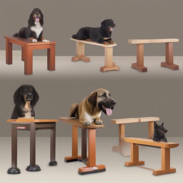 Types of Bench Dogs