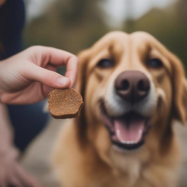 Benefits of freeze dried liver dog treats