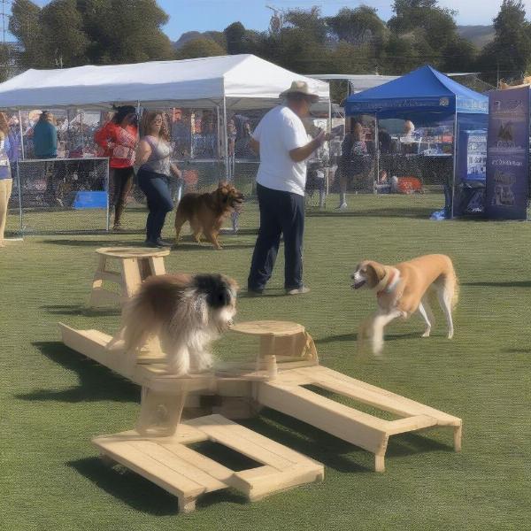 Benicia Dog Festival Activities