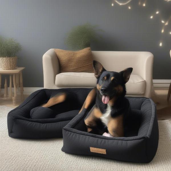 Black dog beds in various sizes