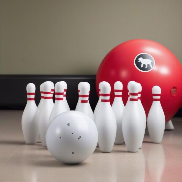 Black Dog Bowling Equipment