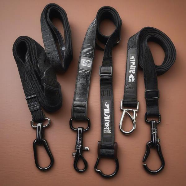 Black Dog Leashes: Leather, Nylon, and Retractable