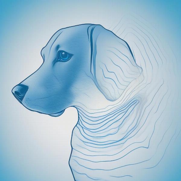 Dog's Sensitive Ears and the Blue Dog Marine Air Horn