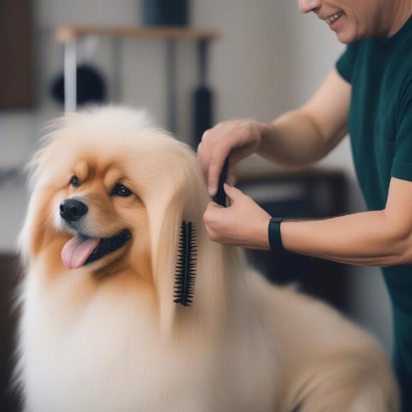 Regular Dog Brushing