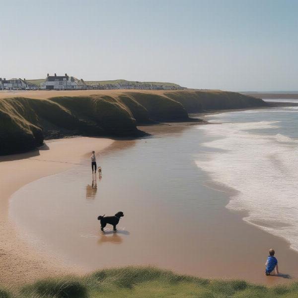 Dog-friendly Summerleaze Beach in Bude, Cornwall