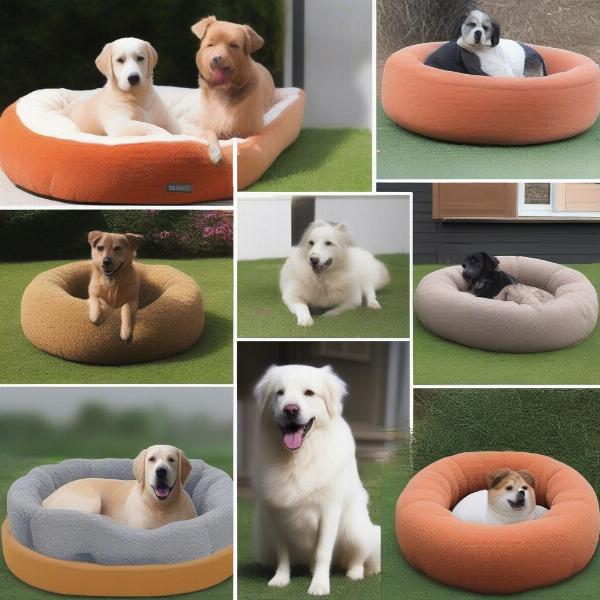 Different Types of Dog Beds