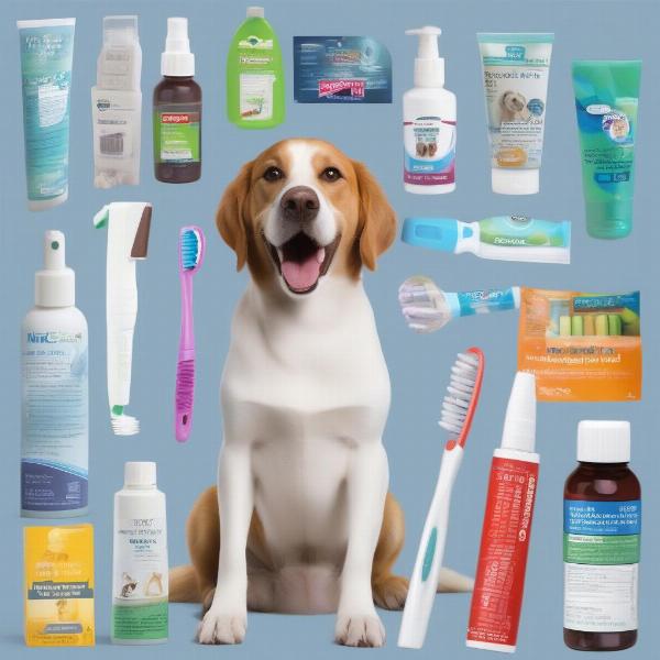 Dog dental care products