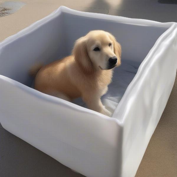 Storing a dog float