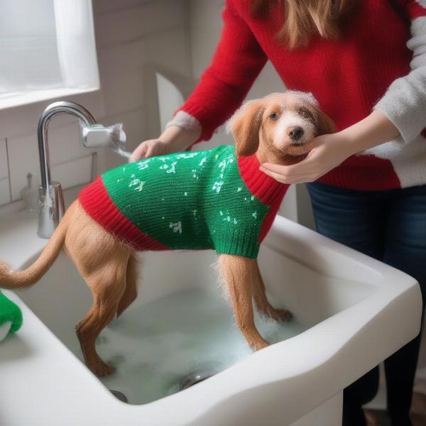 How to Wash a Dog Christmas Sweater