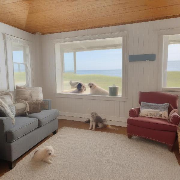 Cape Cod Dog Friendly Rental Options