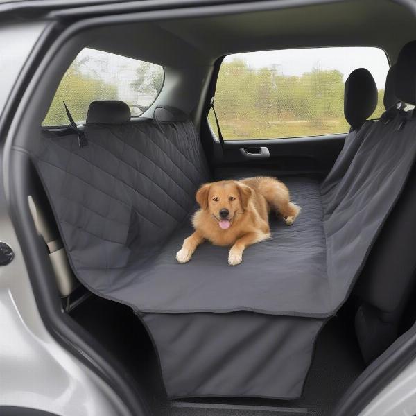 Different Types of Car Dog Seat Covers