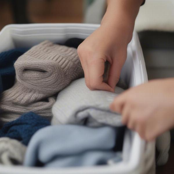 Washing and storing dog sweaters