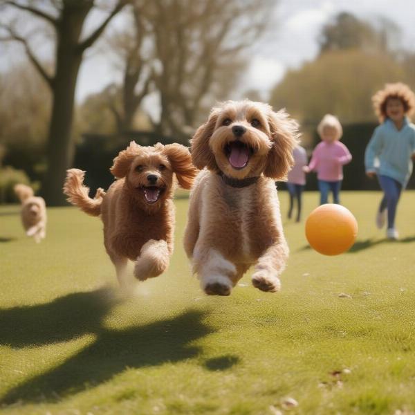 Cavapoo playing fetch with children in a park