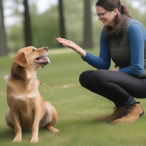 Certified dog behaviorist in Minnesota