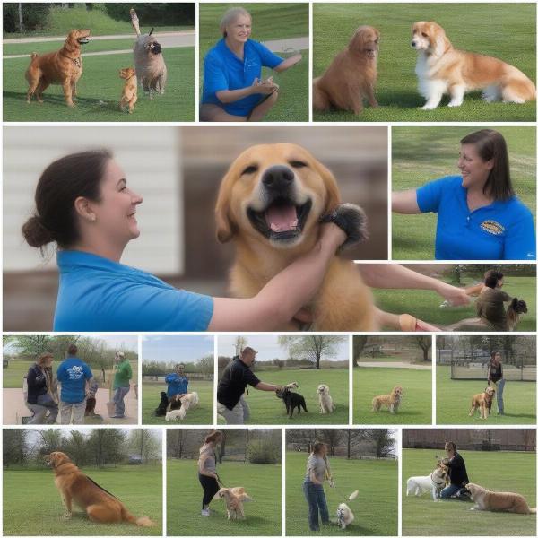 Certified Dog Trainers in Peoria, IL