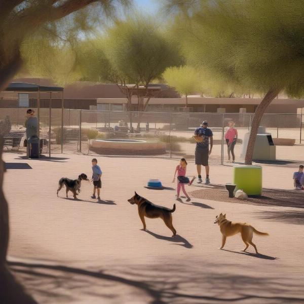 Chaparral Dog Park in Scottsdale Arizona