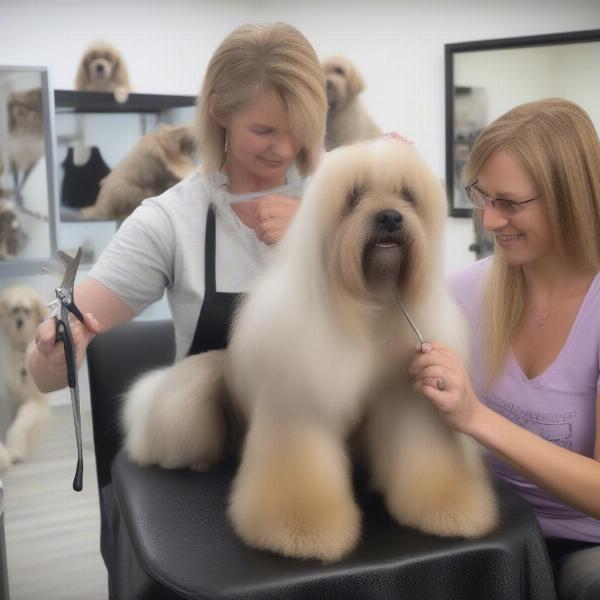 Chippenham dog groomer handling different breeds