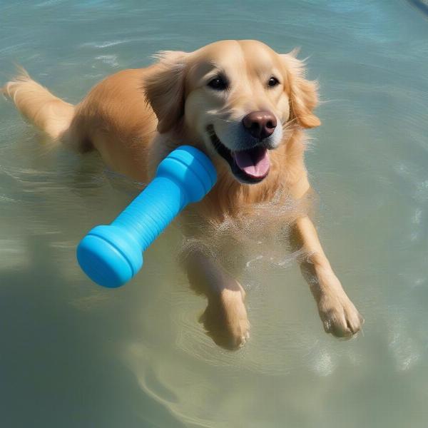 Dog playing with a floating toy in the water