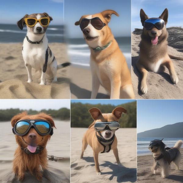 Dog wearing aviator goggles during outdoor activities