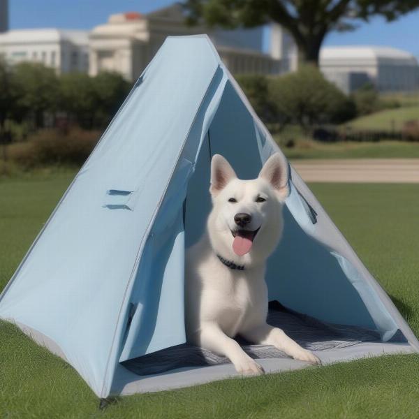 Dog sitting in a tent outdoors