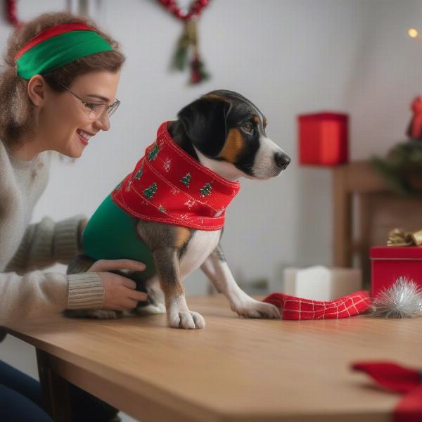 Choosing a Christmas sweater for your dog