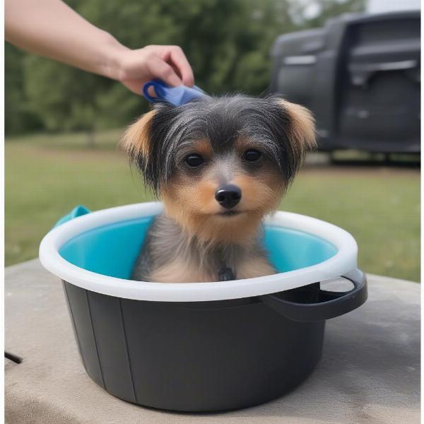 Choosing a bath tub for small dogs