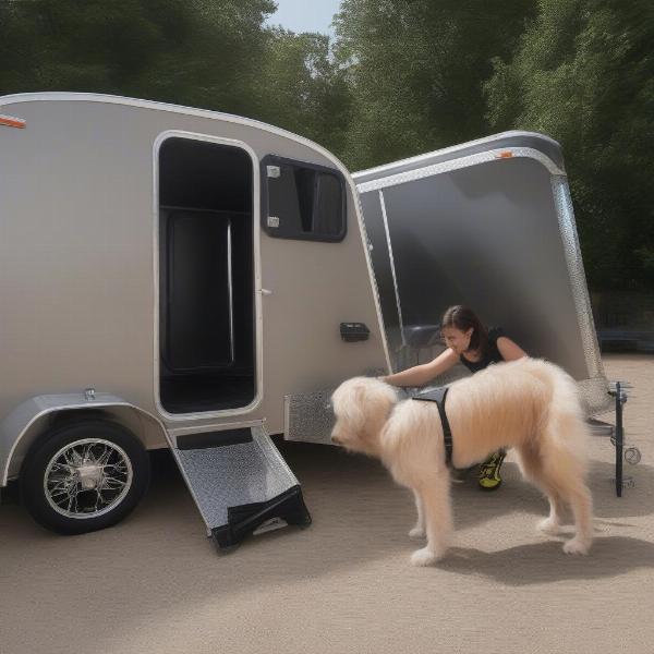 Choosing the Right Dog Trailer for Your Dog in the UK