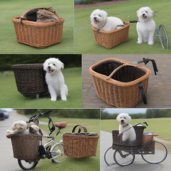 Choosing the right bike basket for your dog