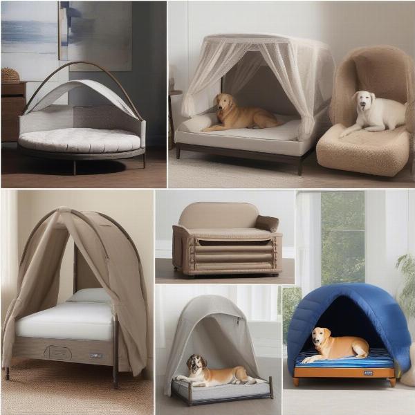 Choosing a Canopy Bed for a Dog