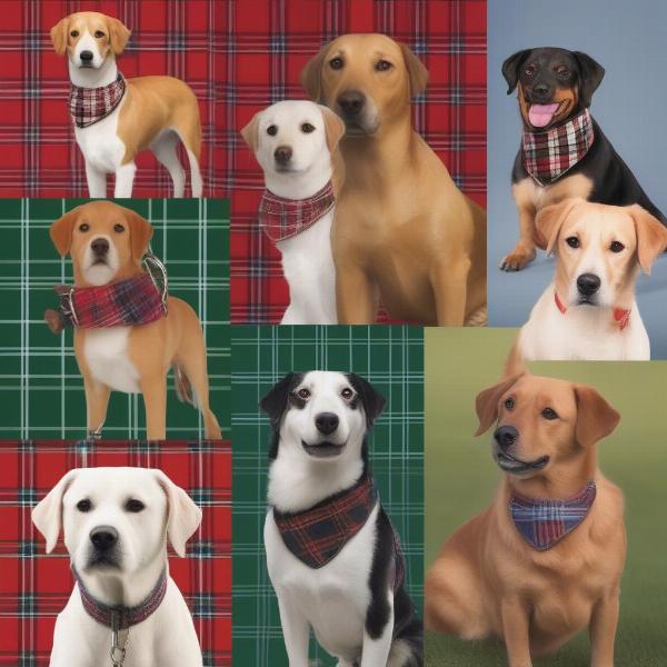 Choosing the right plaid color for your dog breed