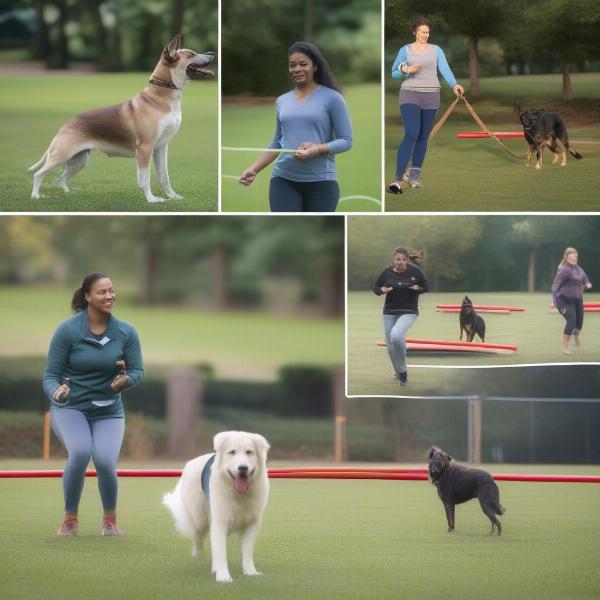 Choosing the right dog training method in Alpharetta