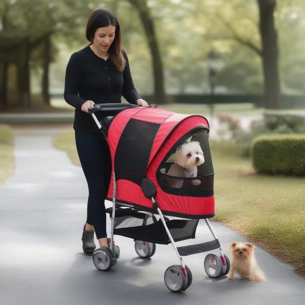 Choosing a collapsible dog stroller for your dog