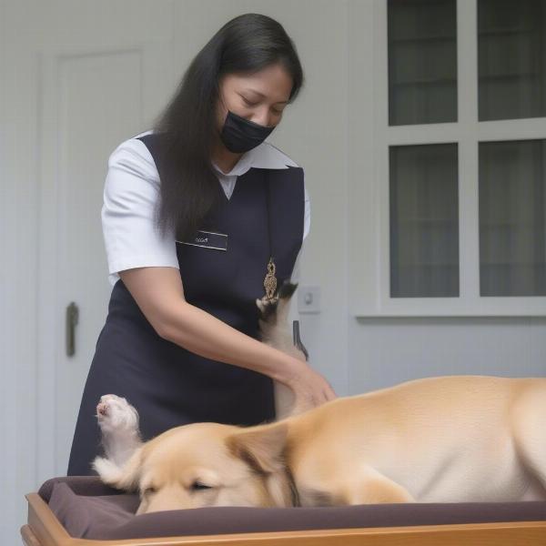 Choosing a reputable dog funeral home