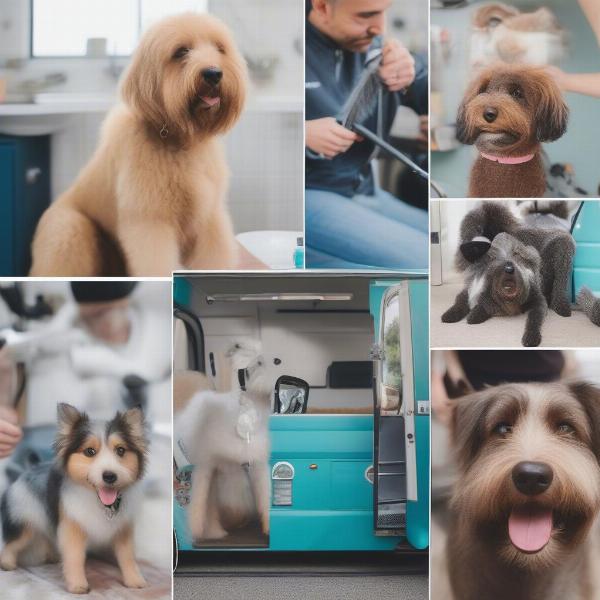 Choosing the Best Mobile Dog Groomer in Doncaster