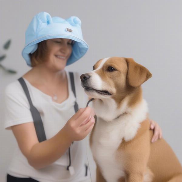 Choosing the Right Bonnet for Your Dog