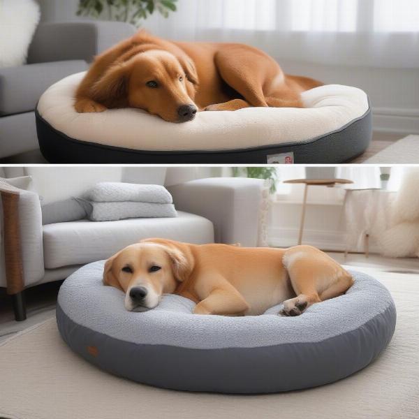 Choosing the right dog pillow size, filling and material