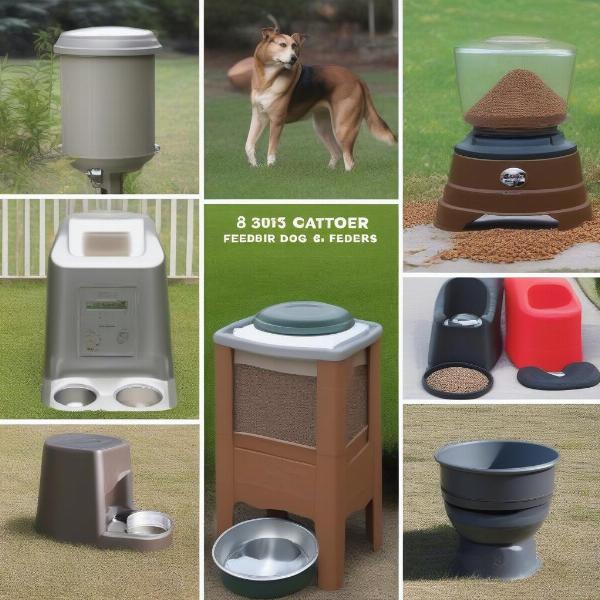 Outdoor Automatic Dog Feeders: A Comprehensive Guide