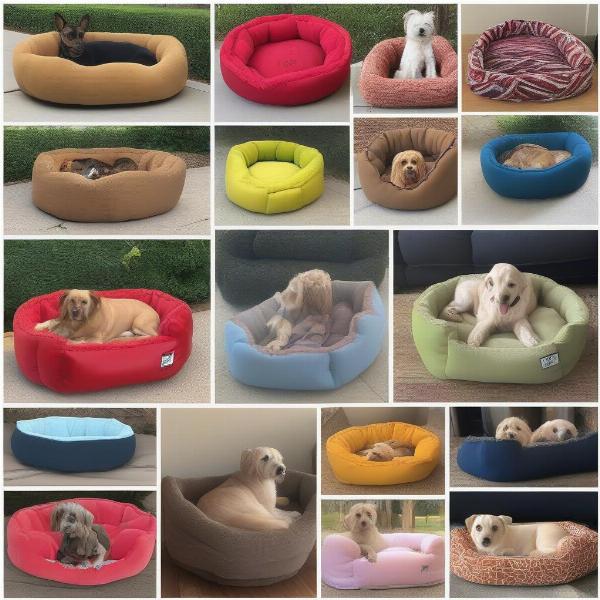 Choosing the Right Peanut Dog Bed