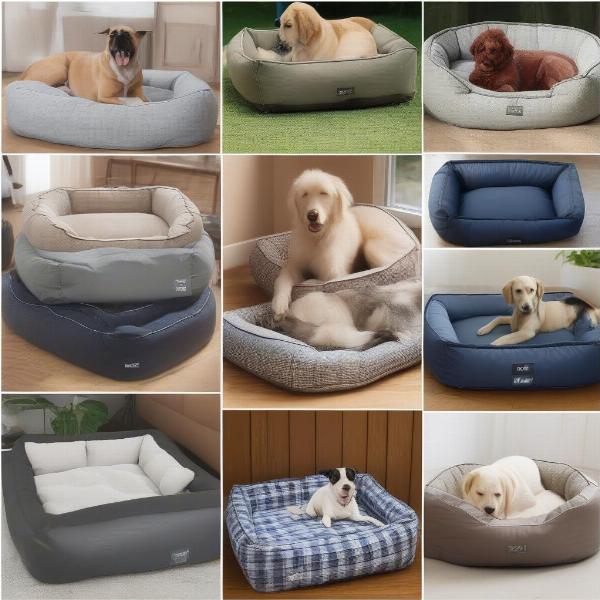 Choosing the right water-resistant dog bed