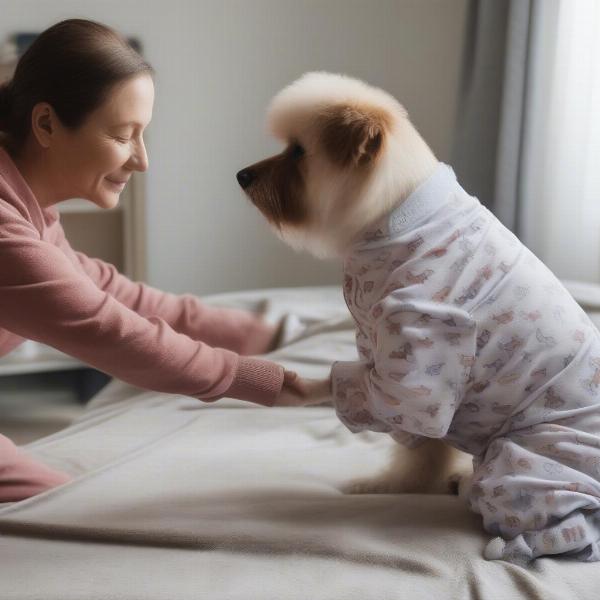 Dog owner putting pyjamas on their dog