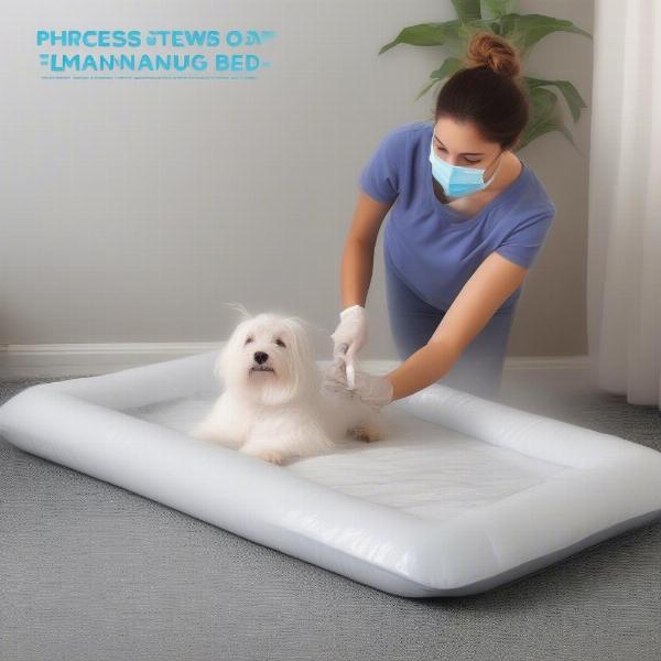 Cleaning a Dog Bed Plastic Liner