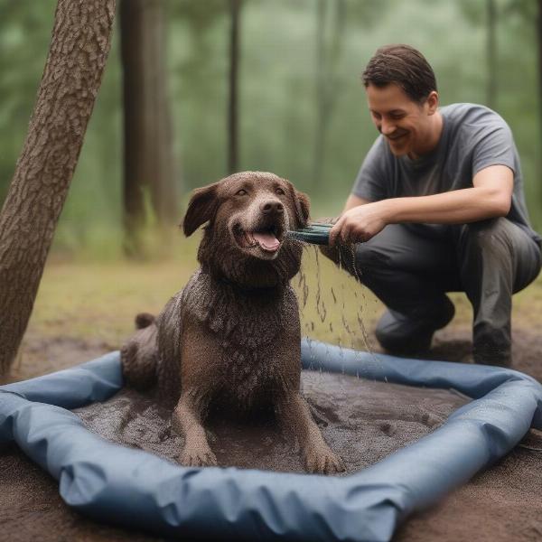 Cleaning a dog's camping bed with a hose