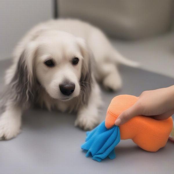 Cleaning a dog on wheels toy