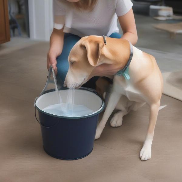 Regular cleaning is essential to prevent bacteria buildup and keep your dog’s water fresh.