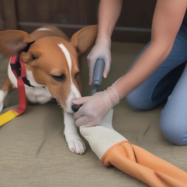 Easy Cleaning of Fire Hose Dog Bed