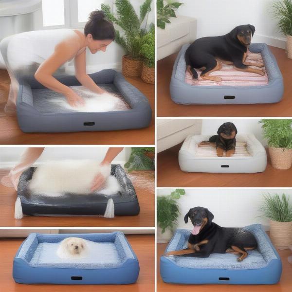 Cleaning a Hard Dog Bed